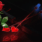 Valentin 12