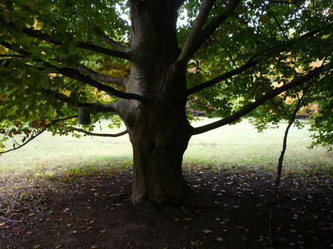 2011.10.26 1
