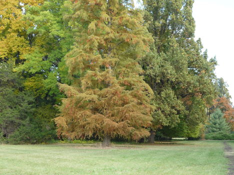 2011.10.26 2