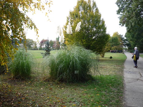 2011.10.26 3