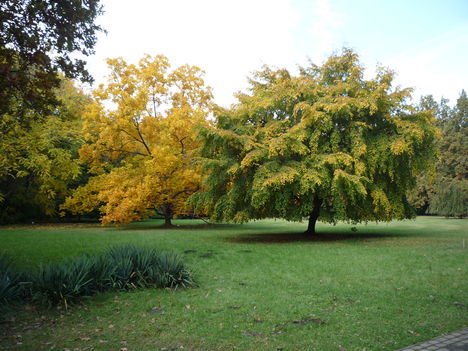 2011.10.26 6