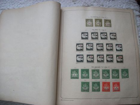 belyeg419