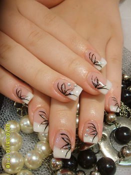 Betti (1)
