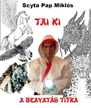 kiskép TAIKI KÖNYVBORITÓ