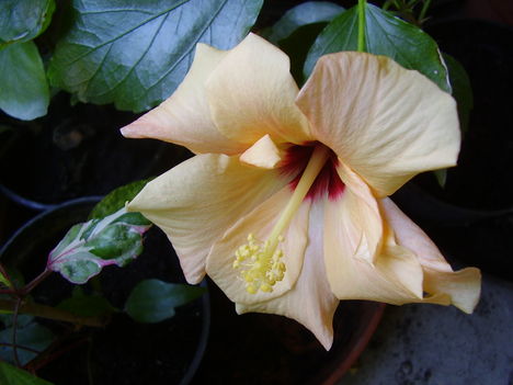 P1290259