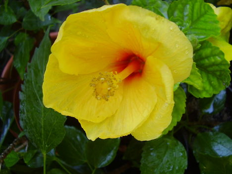 P4130016