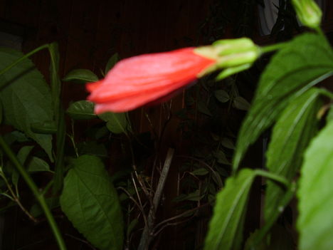 P6210072