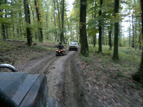20111029392