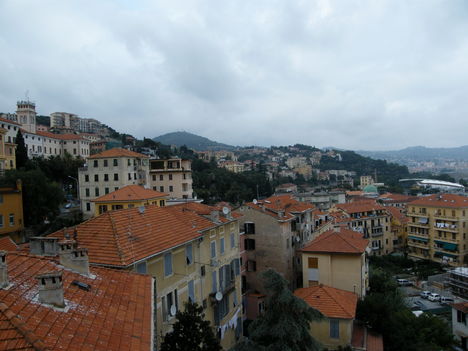 Imperia 181