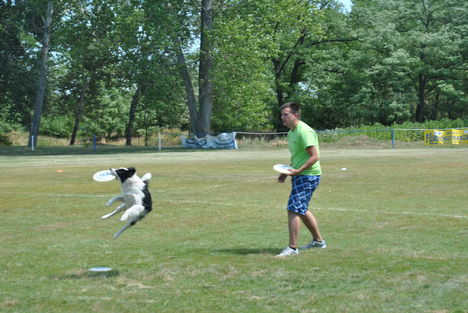 Frisbeedog IX.