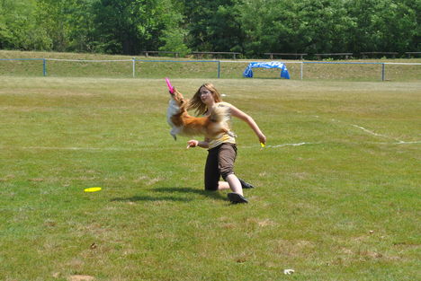 Frisbeedog VII.