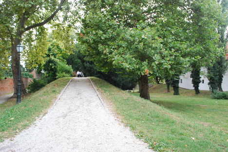 kép1 075