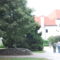 kép1 076