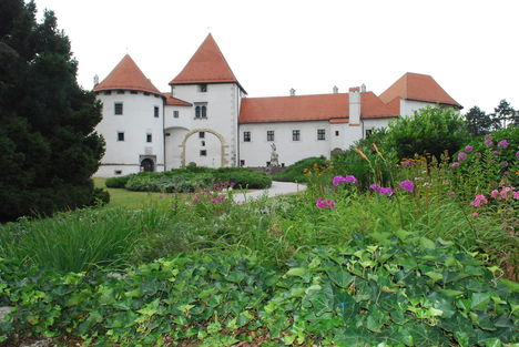 kép1 077