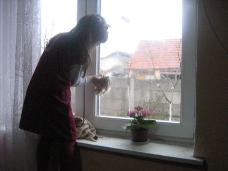 Kép 057