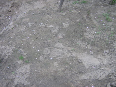 Kép 067