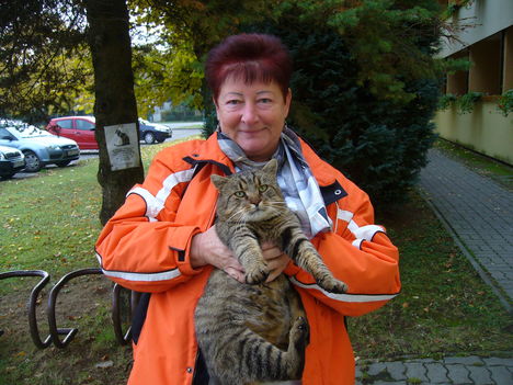 OKTÓBER  27 FELSŐCSATÁR BORUT  2011 002