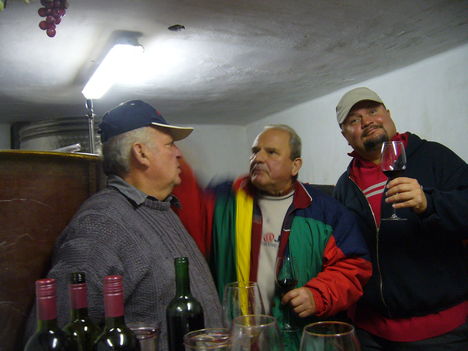 OKTÓBER  27 FELSŐCSATÁR BORUT  2011 099