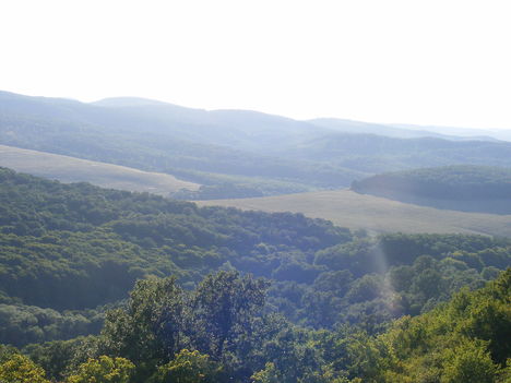 tájkép