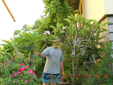 A kertész