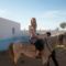 djerba 2010 bis 200