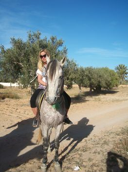 djerba 2010 bis 218