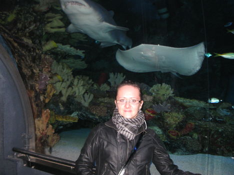 Halak alatt:)