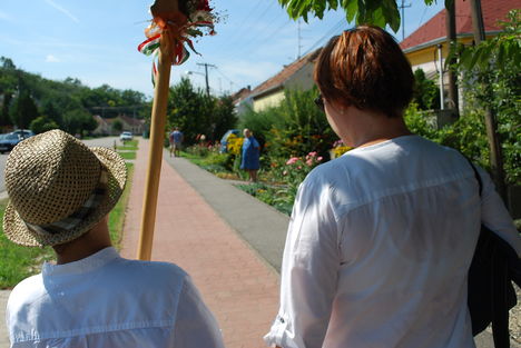 kép1 213