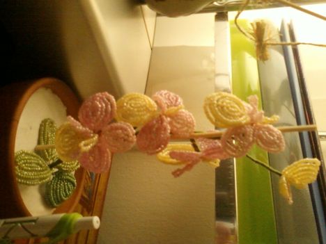 Orchidea 2011