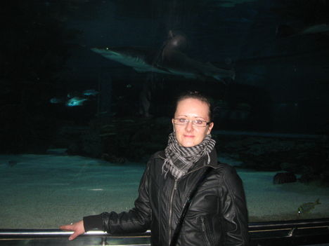 Tropicarium
