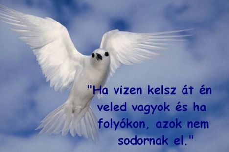 jezus_24_826509_37254_n