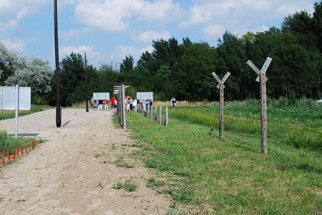 kép1 185