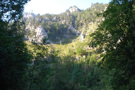 kép1 242