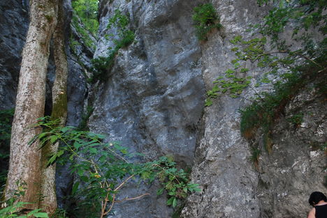 kép1 264