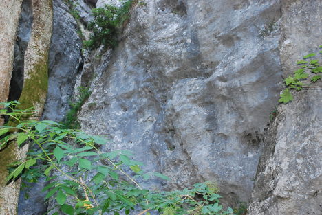 kép1 265