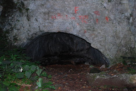 kép1 275