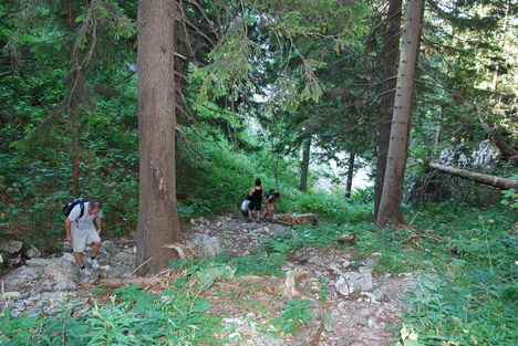 kép1 317