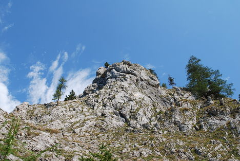 kép1 346