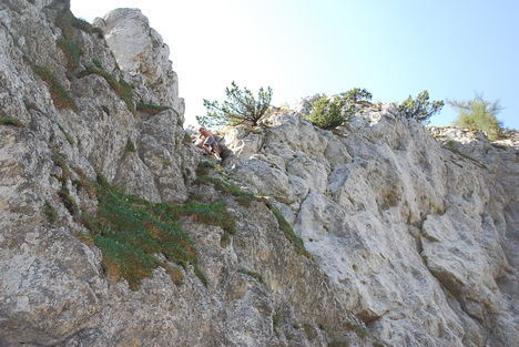 kép1 353