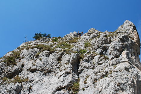 kép1 354