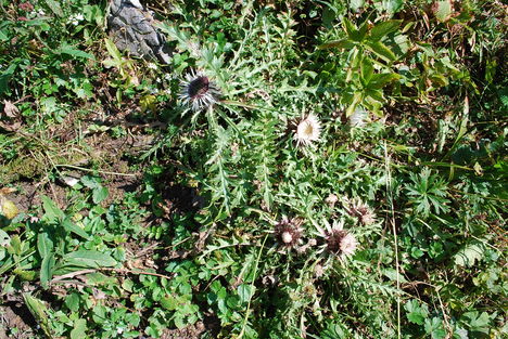 kép1 360