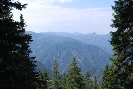 kép1 367