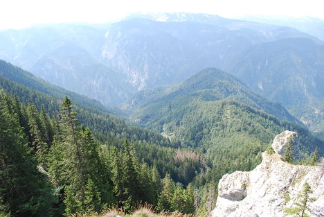kép1 371