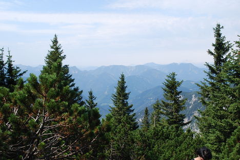kép1 377