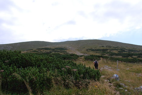 kép1 382