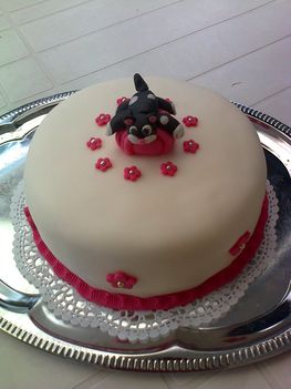 Cicás fondant torta