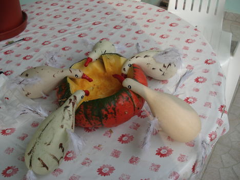 2009 gesztenye , Márton nap