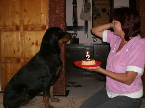 2011 Október 20-án 2 éves lettem én!