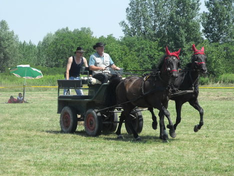 2011lókötők 19