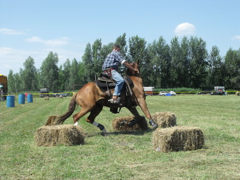 2011lókötők 23